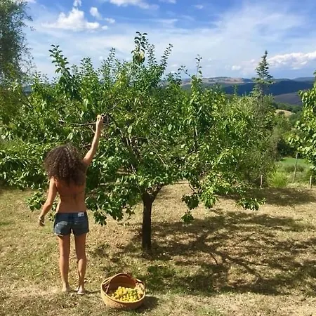 Villa Il Casolare Delle Fiabe Casole d'Elsa